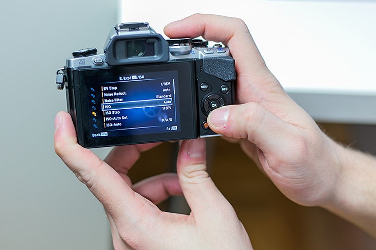 Olympus OM-D E-M10 (33).jpg